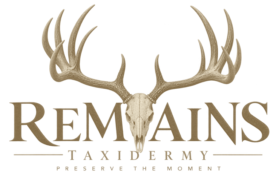 Remains Taxidermy logo