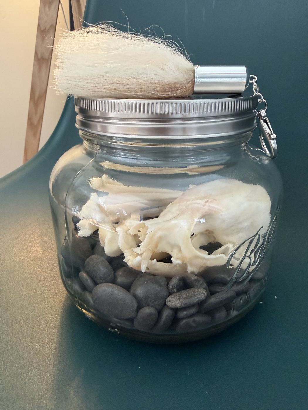 Pet memorial skull keepsake in a glass jar